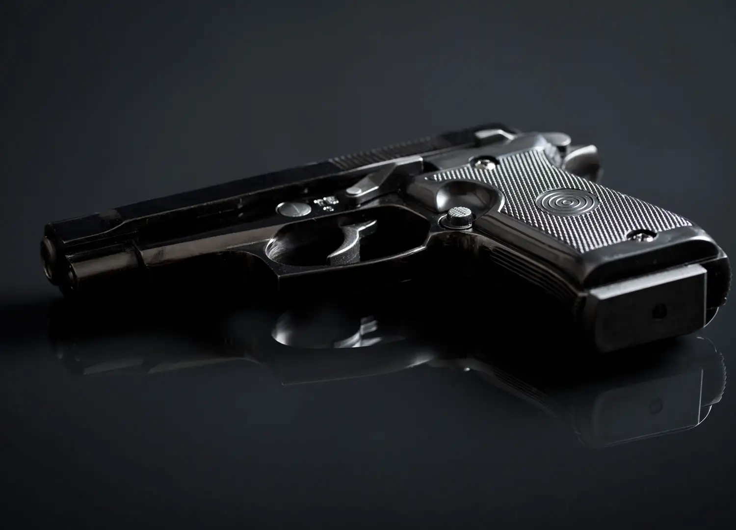 Pawn Shop and Gunsmith