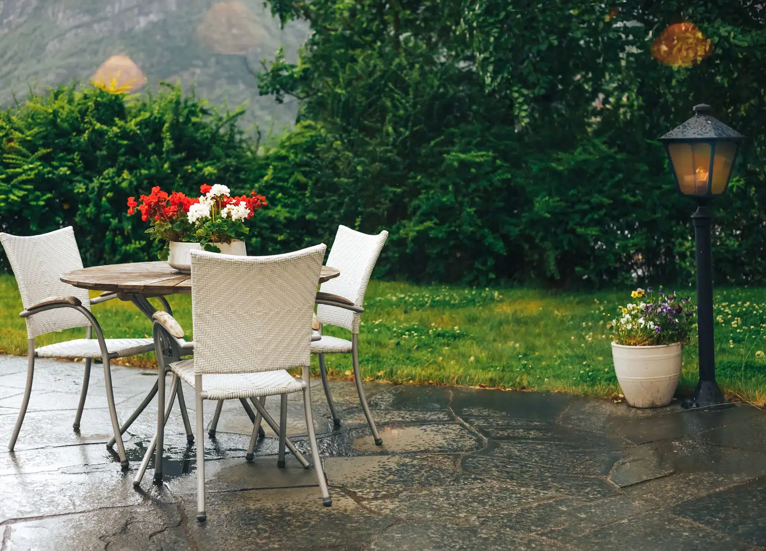 Home Decor and Garden